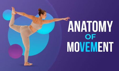 Anatomy of Movement
