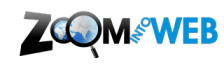 Zoomintoweb