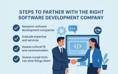 software development company in delhi