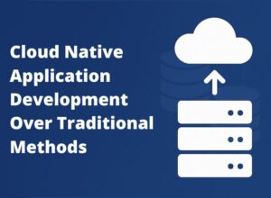 Custom Software Development Services