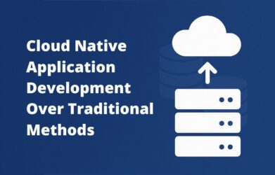 Custom Software Development Services